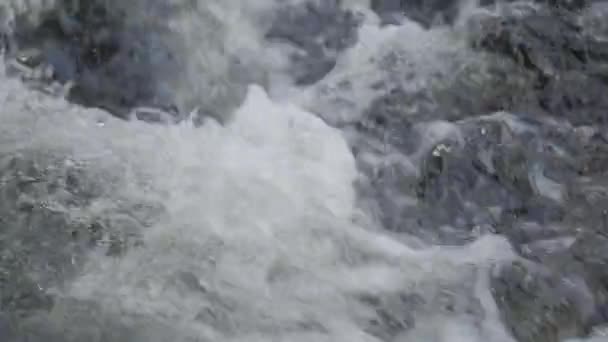 Gros plan du cours d'eau avec des bulles blanches et transparentes .