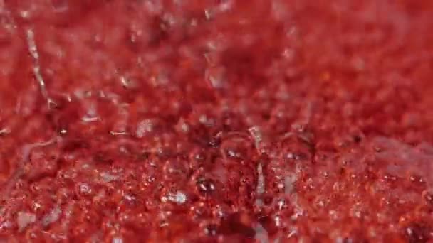 Home cooking cranberries jam close-up boiling. — Stock Video