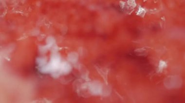 Soyut resim makro yakın çekim, kırmızı sıvı kaynar.