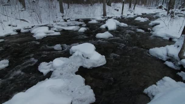 Snowy river w lesie w zimie. — Wideo stockowe