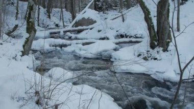 Kışın dağ nehir rapids hareket.