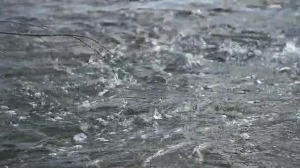 Nahaufnahme von fließenden Strömen von sauberem Eiswasser. schöne Landschaft. Ruhige Szene — Stockvideo