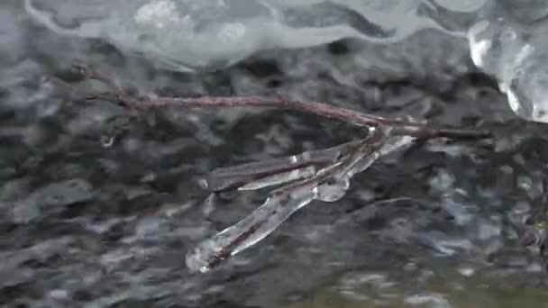 Gros plan sur les ruisseaux d'eau glacée propre. Beau paysage. Scène tranquille — Video