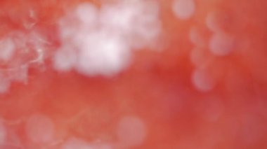 Soyut resim makro yakın çekim, kırmızı sıvı kaynar. Ağır çekim.