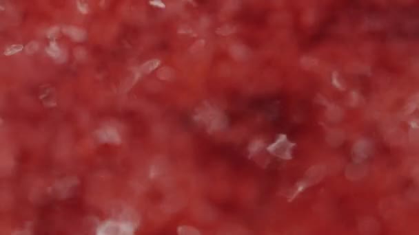 Υπόβαθρο των cranberries μαρμελάδα, σουτ μακροεντολή. — Αρχείο Βίντεο
