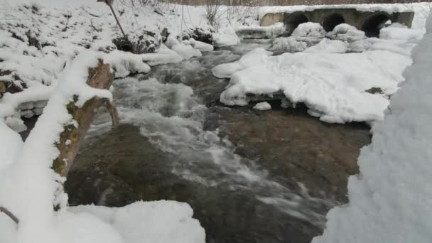 Motie van berg rivier stroomversnellingen in de winter. — Stockvideo