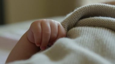 Elini üç aylık bebek.