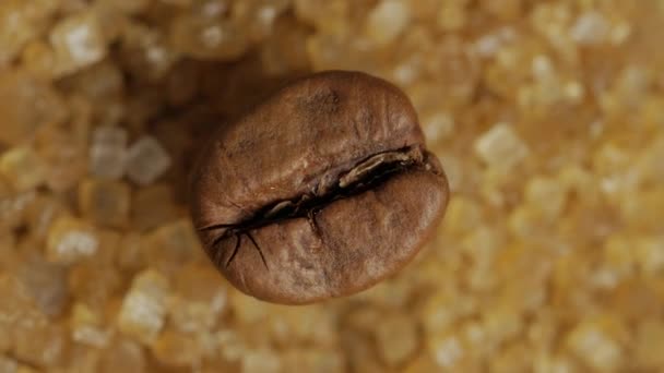 Braune Kaffeebohne auf süßen braunen Zuckerkristallen, Makroaufnahme. — Stockvideo