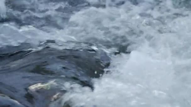 Gros plan du cours d'eau avec des bulles blanches et transparentes .