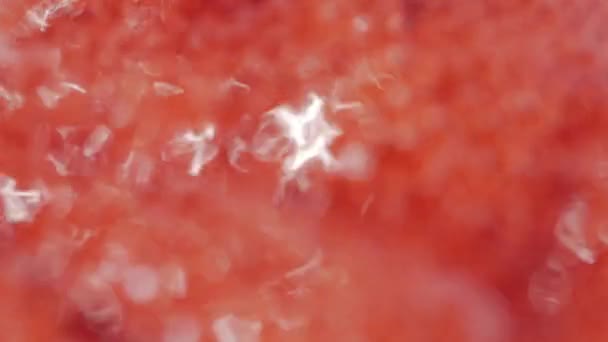 Abstract beeld macro close-up, koken van rode vloeistof. Slow motion. — Stockvideo