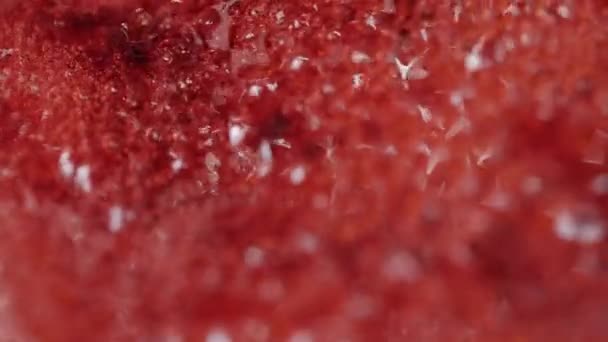 Αρχική σελίδα Μαγειρική cranberries μαρμελάδα γκρο πλαν βραστό. — Αρχείο Βίντεο