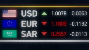 Suudi Arabistan Riyali, bize düşen Euro karşılaştırıldığında Doları, finansal kriz, varsayılan