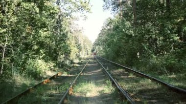 Eski tramvay yeşil ağaç tünel üzerinden hareket ve mesafe içinde kaybolan