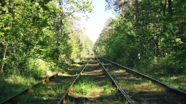 Red vintage streetcar moving along tracks in green forest, beautiful nature — Stock video