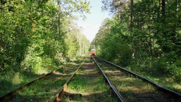 Vintage trolley car disappearing in distance, railroad rack in green forest — Stock video