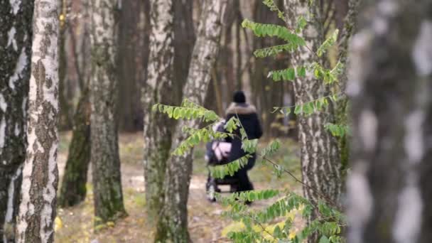 Elternpaar mit Kinderwagen spaziert im Park, schönes Herbstwetter — Stockvideo