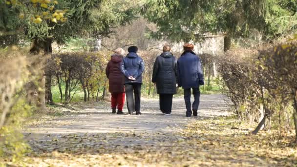 Группа пенсионеров наслаждается прогулкой в солнечный осенний день, жизнь после выхода на пенсию — стоковое видео