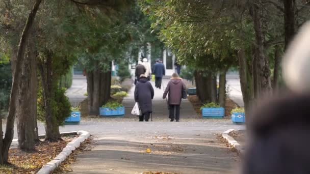 Pessoas mais velhas caminhando ao longo beco, dificuldades de vida após a aposentadoria, solidão — Vídeo de Stock