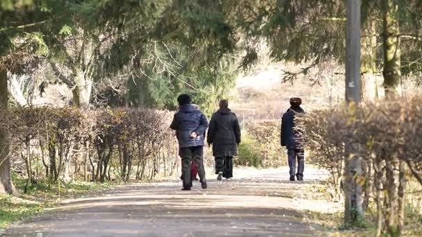 Groep oudere vrienden wandeling in herfst park, senior mensen genieten van lopen — Stockvideo