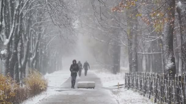 Winter sneeuwval, mensen lopen langs alley, mooie besneeuwde dag in de stad — Stockvideo