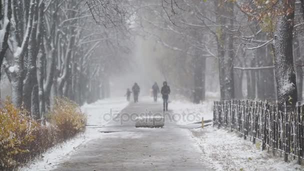 Snowy winter day, people walking along alley, relaxing urban scene, snowfall — Stock Video