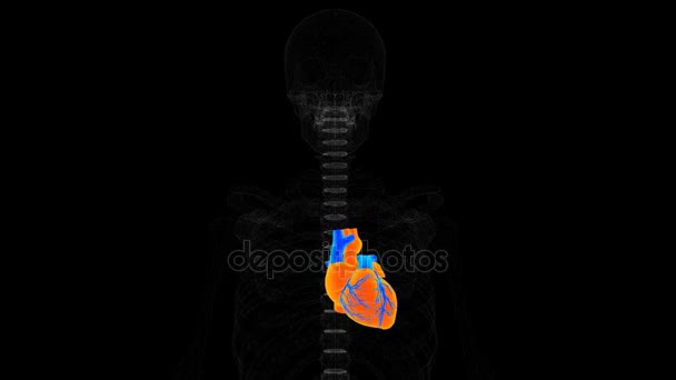 Human heart medical scan results on screen, MRI, patient's disease diagnostics — Stock Video