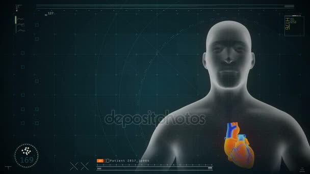 Modelo de visualização do coração do paciente girando na tela, software de monitoramento — Vídeo de Stock