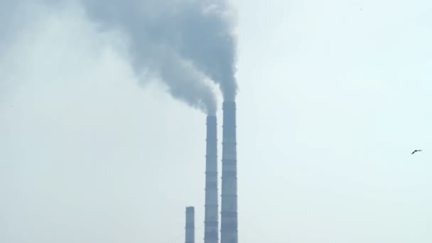 Humo oscuro nublado por encima de las tuberías de la central eléctrica, problemas ecológicos, calentamiento global — Vídeo de stock