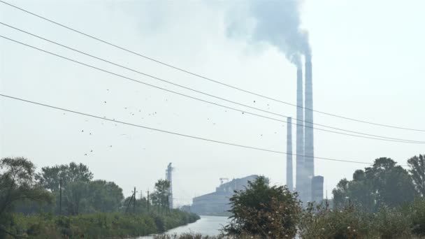 Nuvole di fumo sopra le condutture delle centrali elettriche, produzione di elettricità, inquinamento — Video Stock