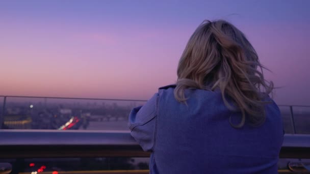 Triste femme chère debout sur le pont de nuit venteux seul, problèmes relationnels — Video