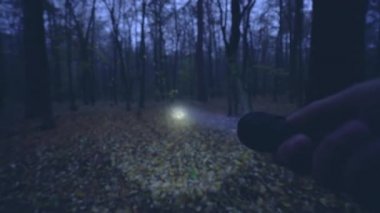 El feneri tutan avcının eli, gece ormanlarında hayvan arayan, hobi
