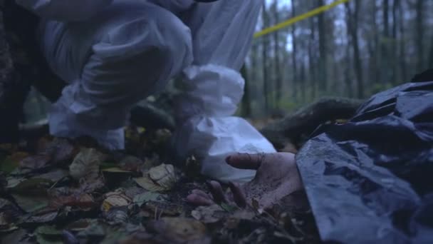Судебный следователь фотографирует мертвую женщину, обнаруженную в лесу, преступления — стоковое видео