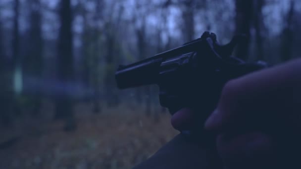 Kézifegyverrel céloz és körülnéz a sötét parkban, önvédelmi fegyver. — Stock videók