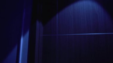 Rozet gösteren polis memuru, suçlunun tutuklanması, kolluk kuvvetleri ve ceza