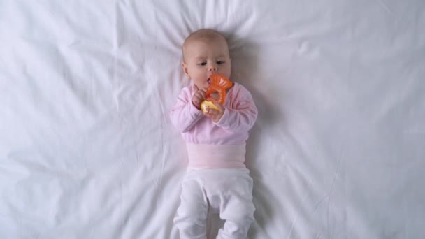 Bebê recém-nascido brincando com brinquedo sensorial estimulando a atenção, desenvolvimento precoce — Vídeo de Stock