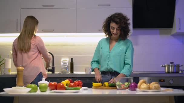 Junges lesbisches Paar kocht Gemüsesalat in Küche und verbringt Zeit miteinander — Stockvideo