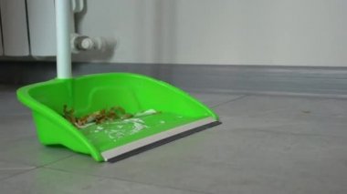 Ev süpürgesi yeşil plastik faraş, ev hijyeni, temizlik.
