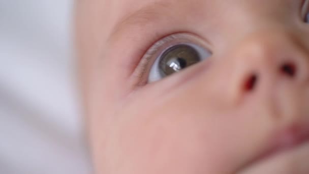Ojos inocentes del bebé recién nacido de cerca, bebé mirando a su alrededor, comienzo de la vida — Vídeo de stock