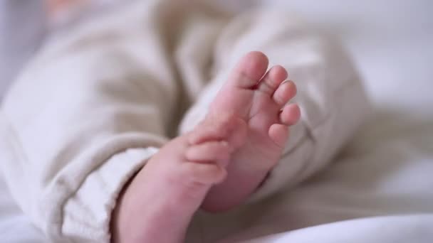 Υπέροχο νεογέννητο πόδια μωρό γκρο πλαν, αξιολάτρευτο μωρό μαλακό ροζ δέρμα, τρυφερότητα — Αρχείο Βίντεο
