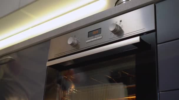 Casalinga impegnata a controllare il piatto nel forno moderno, cucinare la cena per le vacanze in famiglia — Video Stock