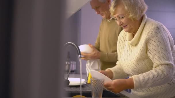 Cheerful senior couple washing up together and talking, cozy home atmosphere — 비디오