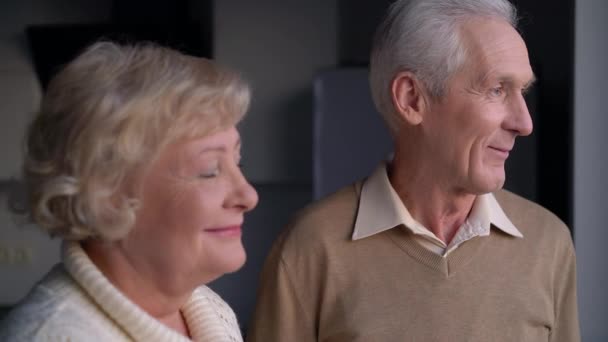 Gelukkig grootouders kijken naar kleinkinderen met liefde, familie waarden, lang huwelijk — Stockvideo