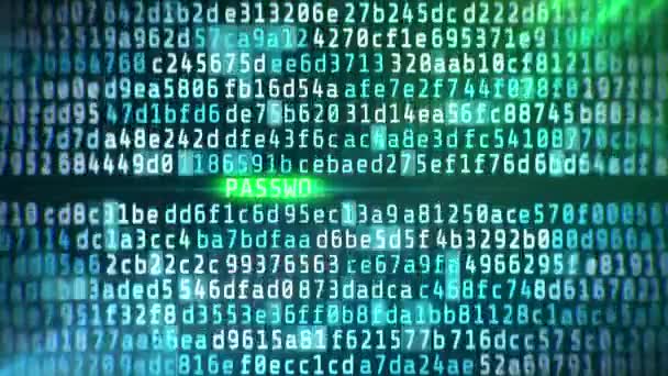 Hacking informatico, password trovato testo sullo schermo, criminalità informatica, sfondo astratto — Video Stock