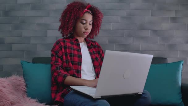 Jeune pigiste travaillant sur ordinateur portable, essai d'écriture étudiant féminin, application de chat — Video