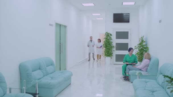 Especialistas médicos andando no corredor hospitalar, médicos discutindo trabalho, equipe — Vídeo de Stock