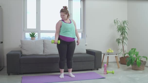 Rapariga gorda engraçada fazendo exercício haltere, gabando-se de músculos do bíceps, fitness — Vídeo de Stock