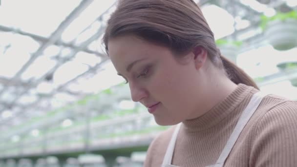 Hardwerkende jonge vrouw planten zaailingen in potten, veredeling van planten, landbouw — Stockvideo