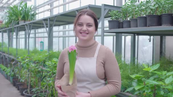 Floral greenhouse worker holding out blooming flower pot, farming business — Stock Video