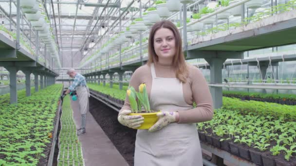 Freundliche Bäuerin hält Blumentopf in die Höhe, lächelt Kamera an, kleines Geschäft — Stockvideo