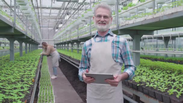 Friendly male farmer smiling at cam tablet in hands, enjoying work in greenhouse — Stock Video